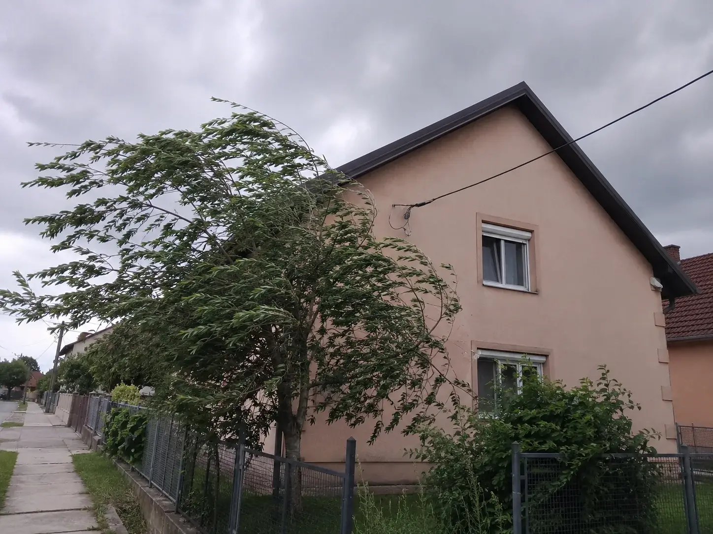 Novosadska kuća za vetrovitog dana sa nagnutim drvećem
